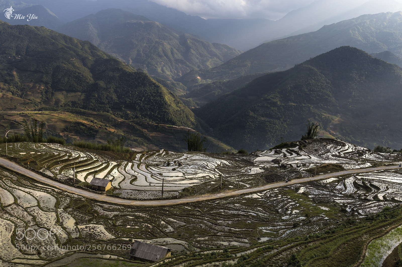 Canon EOS 6D sample photo. Sunny on water terraced photography