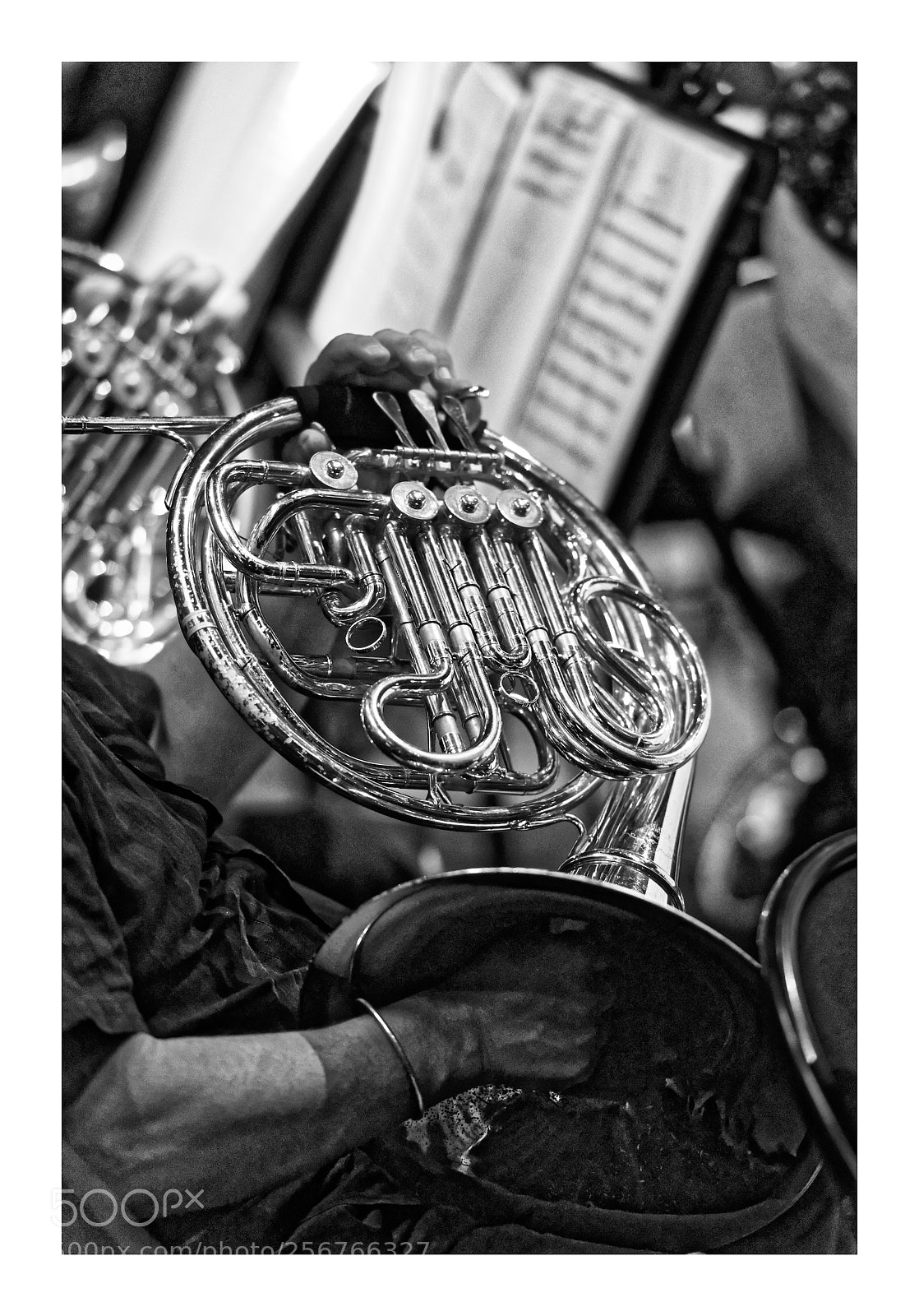 Nikon D800 sample photo. The english horn photography