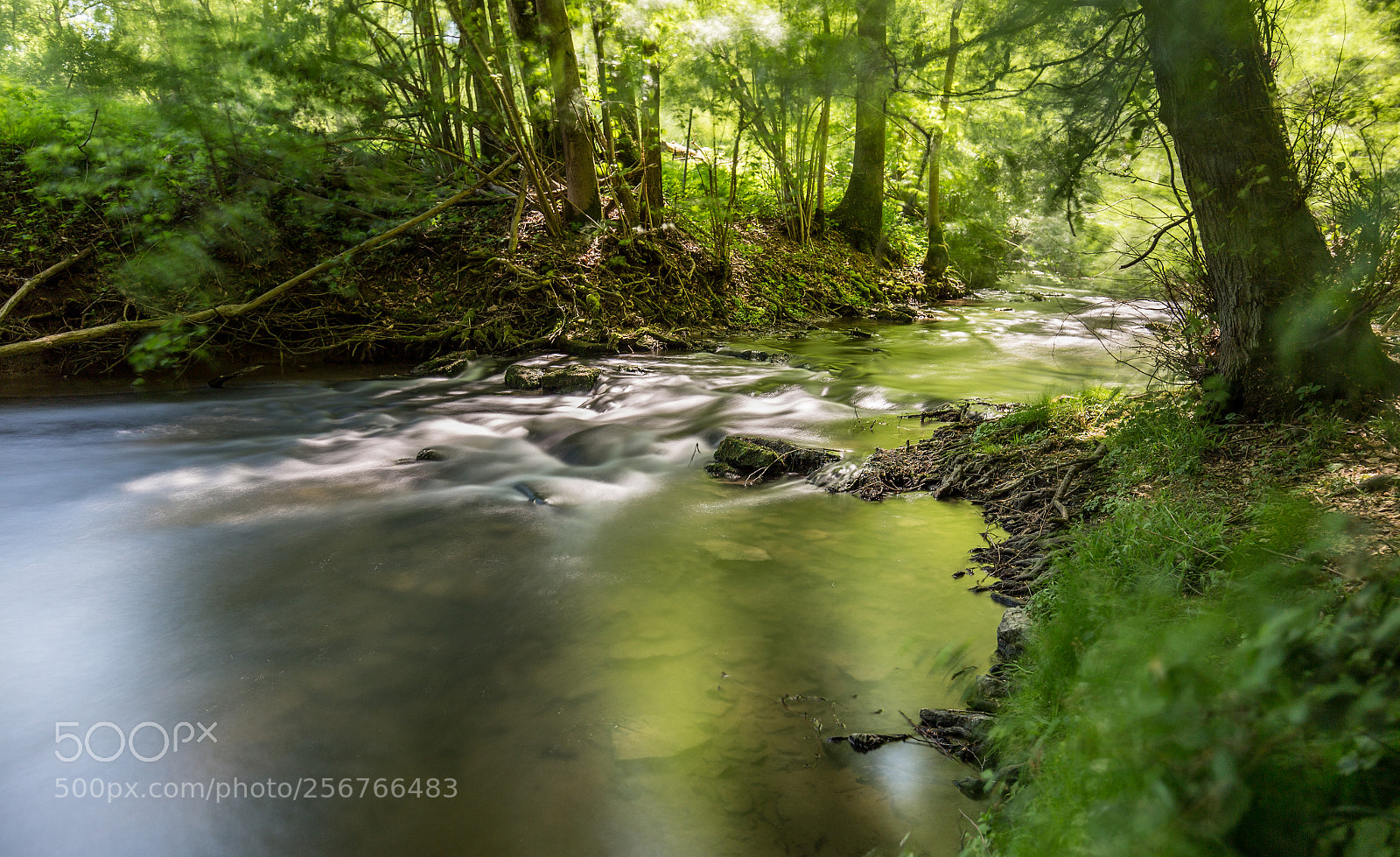 Canon EOS 6D sample photo. Pure nature photography