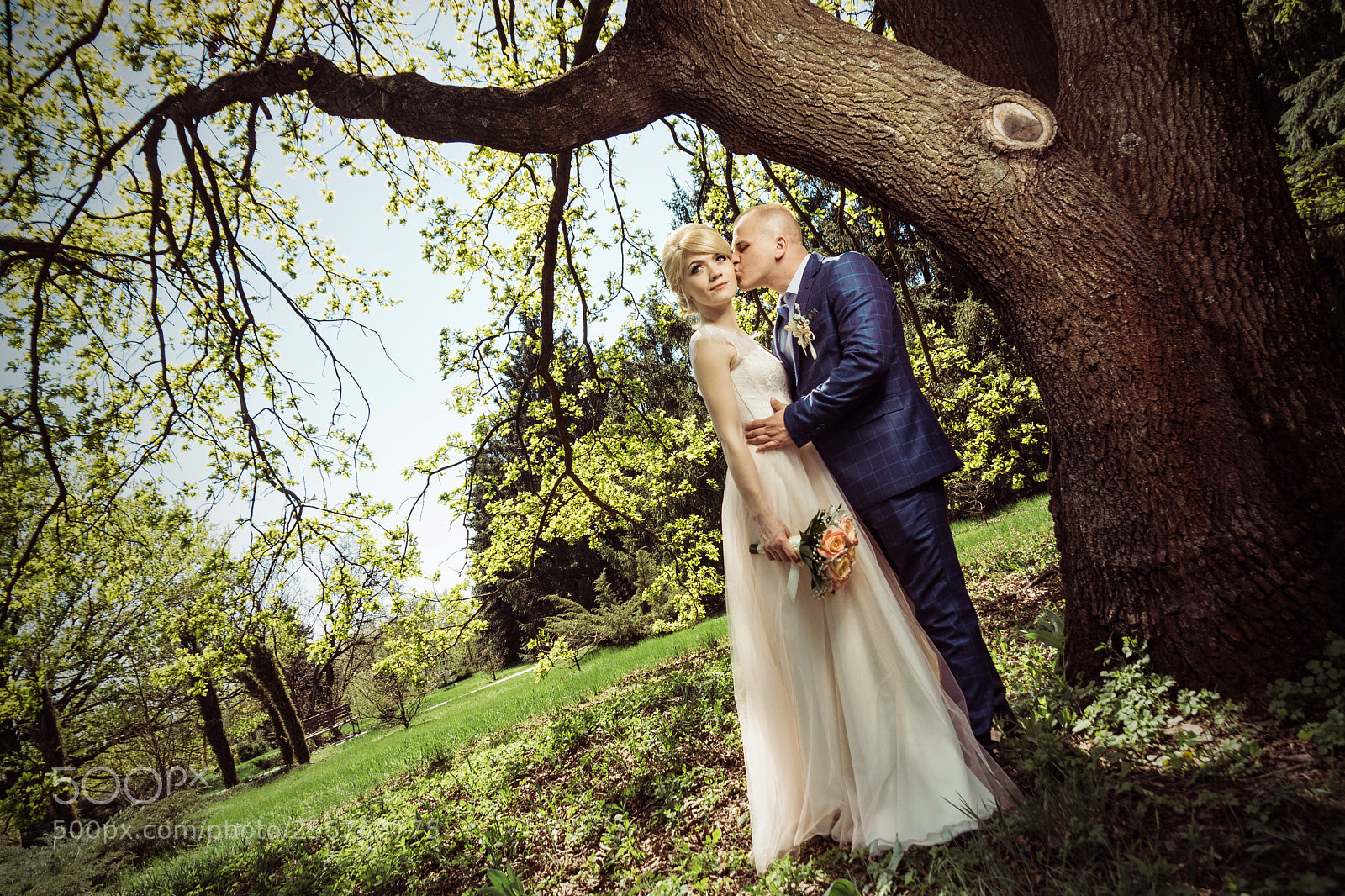 Nikon D7100 sample photo. Untitled photography