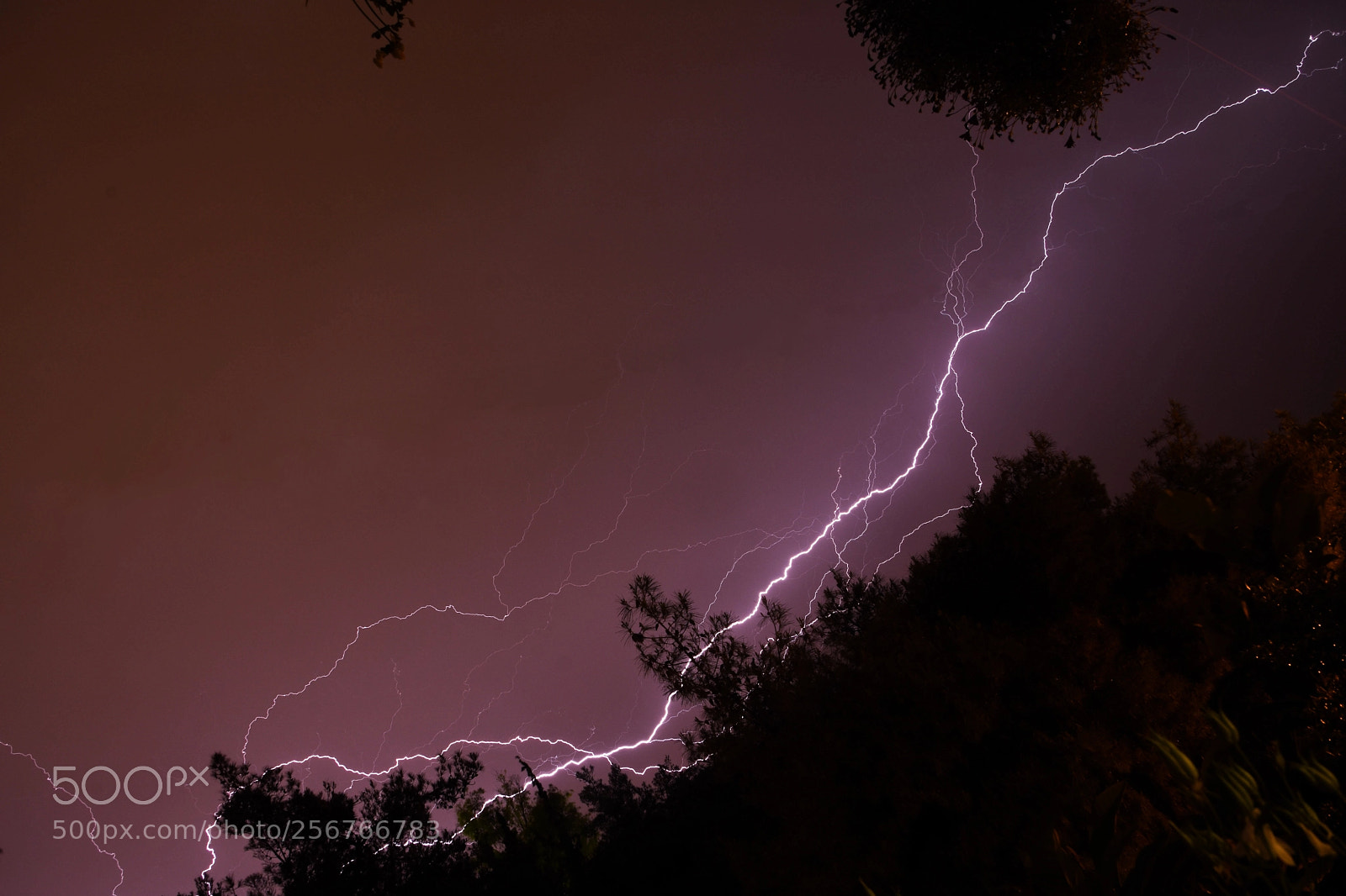 Nikon D7200 sample photo. Lightning photography