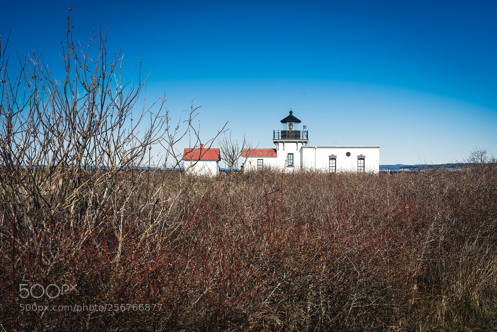 Sony a7 II sample photo. Point no point lighthouse photography