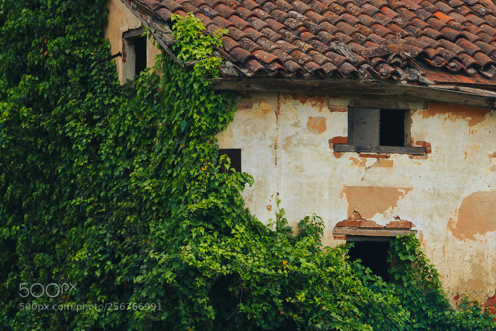 Canon EOS 60D sample photo. Casa abbandonata photography