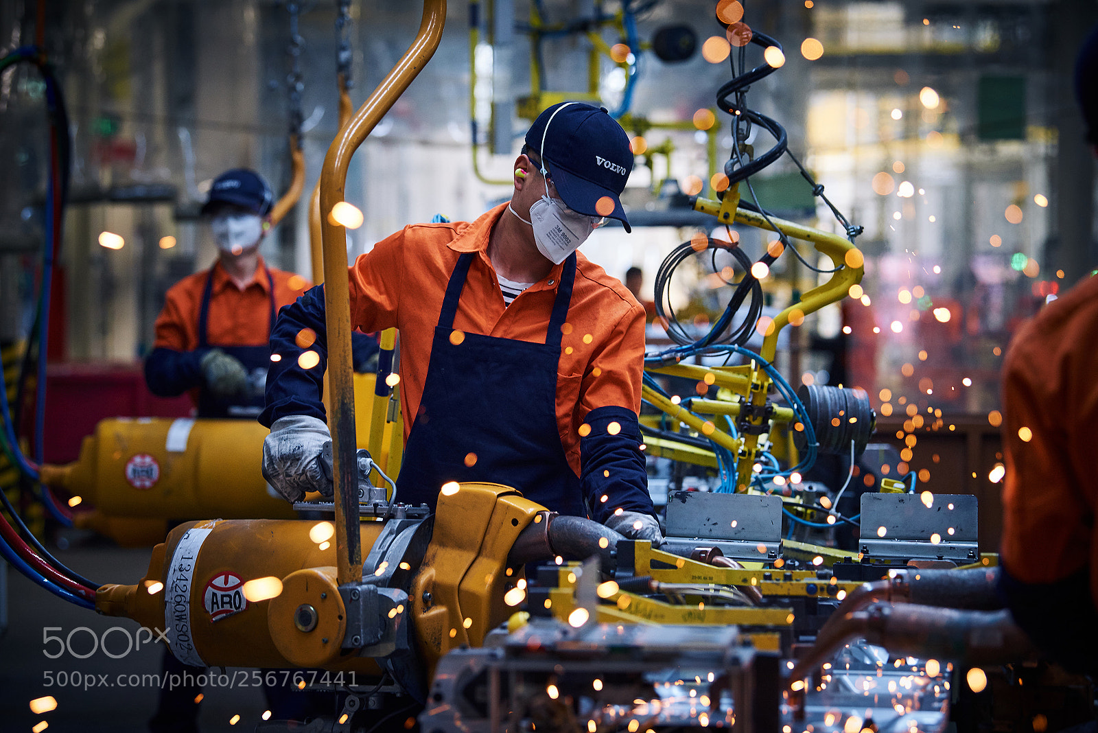 Nikon D810 sample photo. Img photography