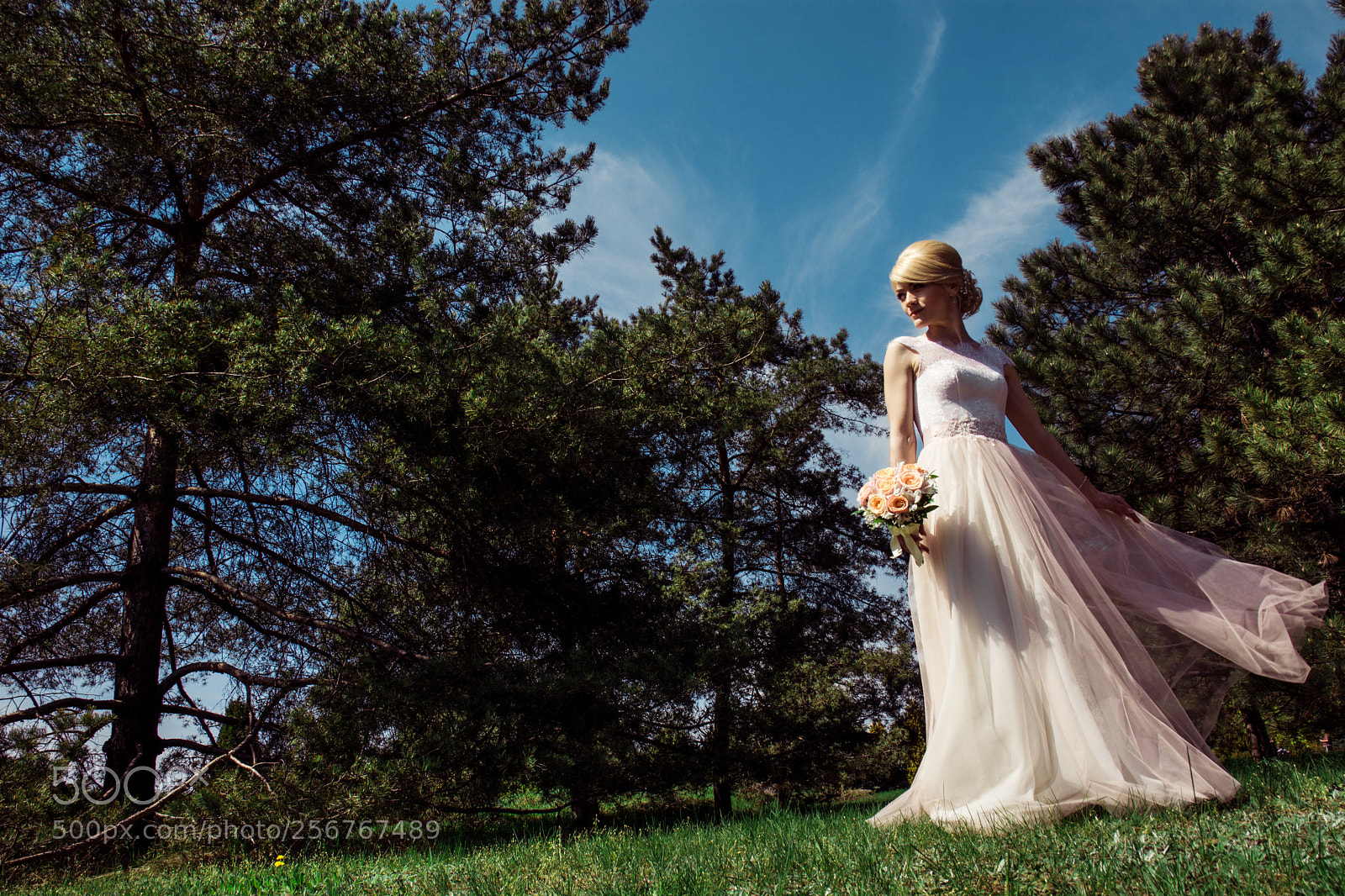 Nikon D7100 sample photo. Untitled photography