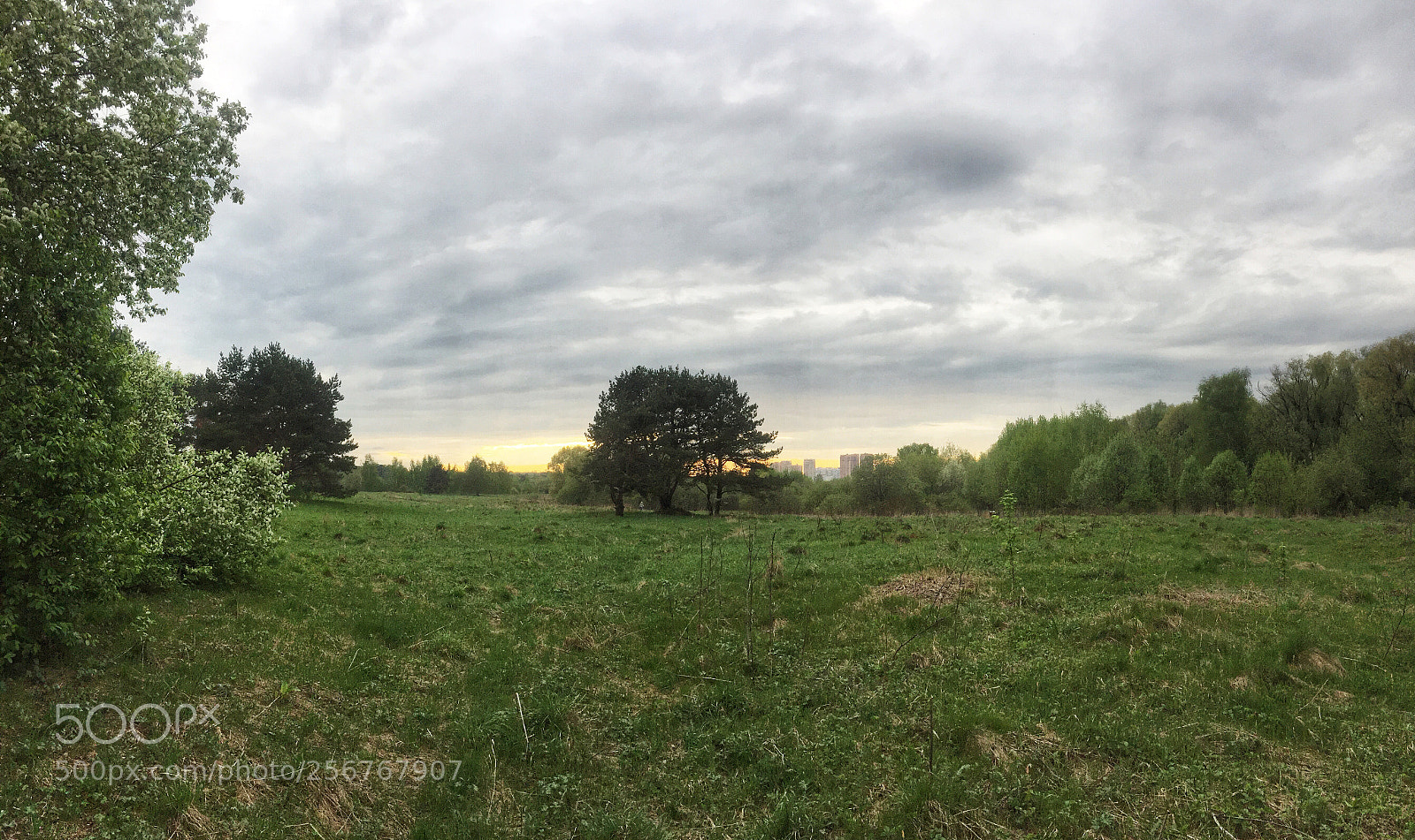 Apple iPhone 6 sample photo. Meadow photography