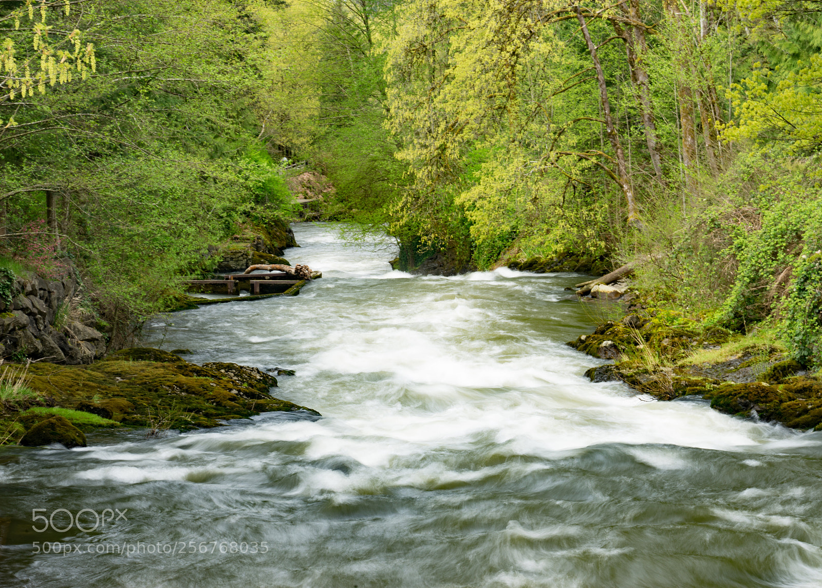 Sony a7 II sample photo. Deschutes river, tumwater photography