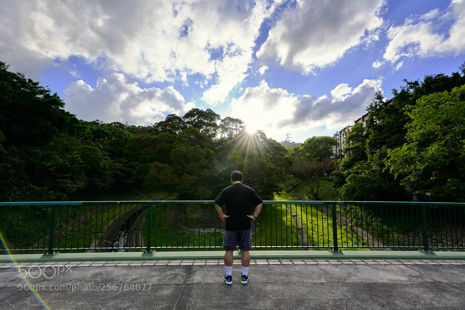 Sony a7R II sample photo. Obsessed  photography