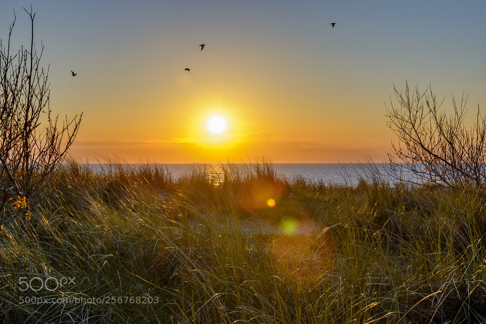 Nikon D7100 sample photo. Sunset zeebruge photography