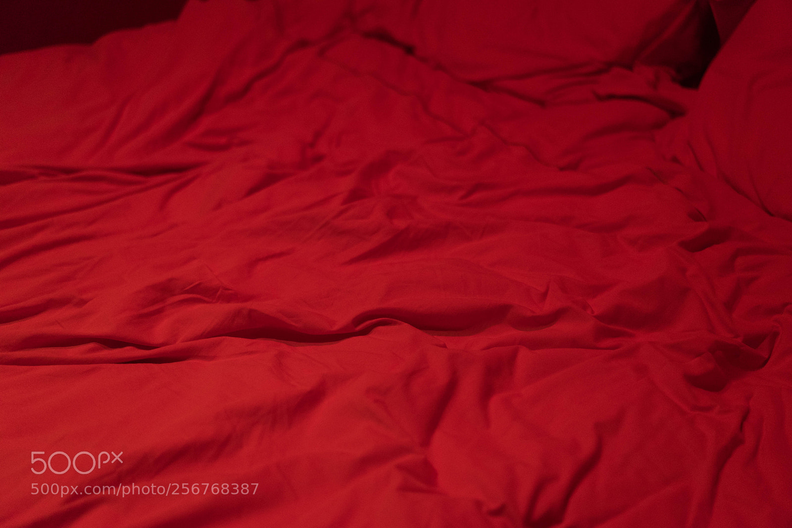 Sony a7 sample photo. Untitled photography