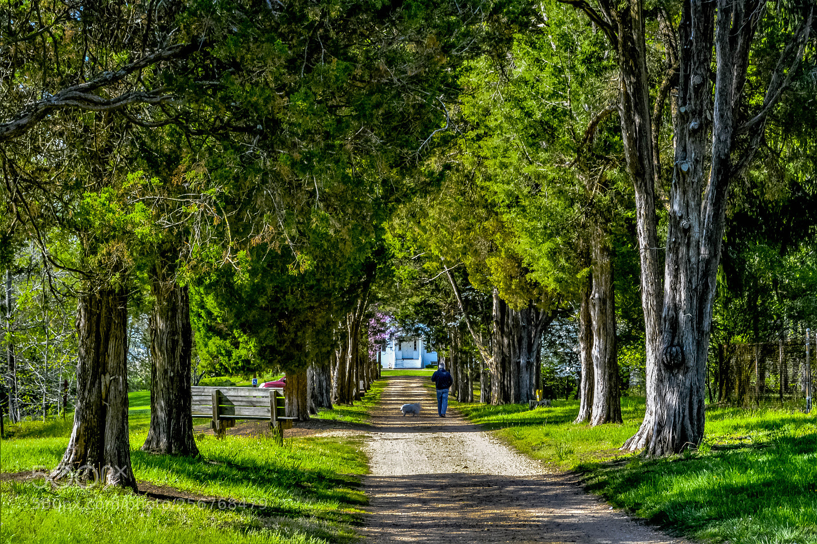 Nikon D5200 sample photo. Evening walk #2 photography