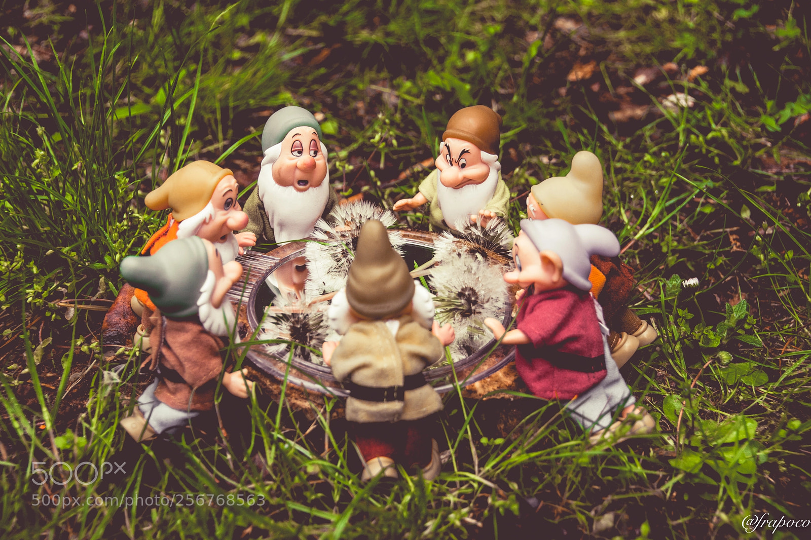 Nikon D7200 sample photo. Dwarf coven photography