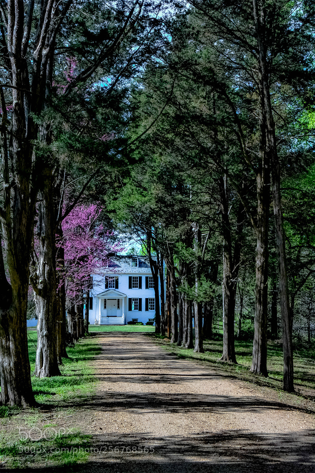 Nikon D5200 sample photo. Shadows on the driveway photography