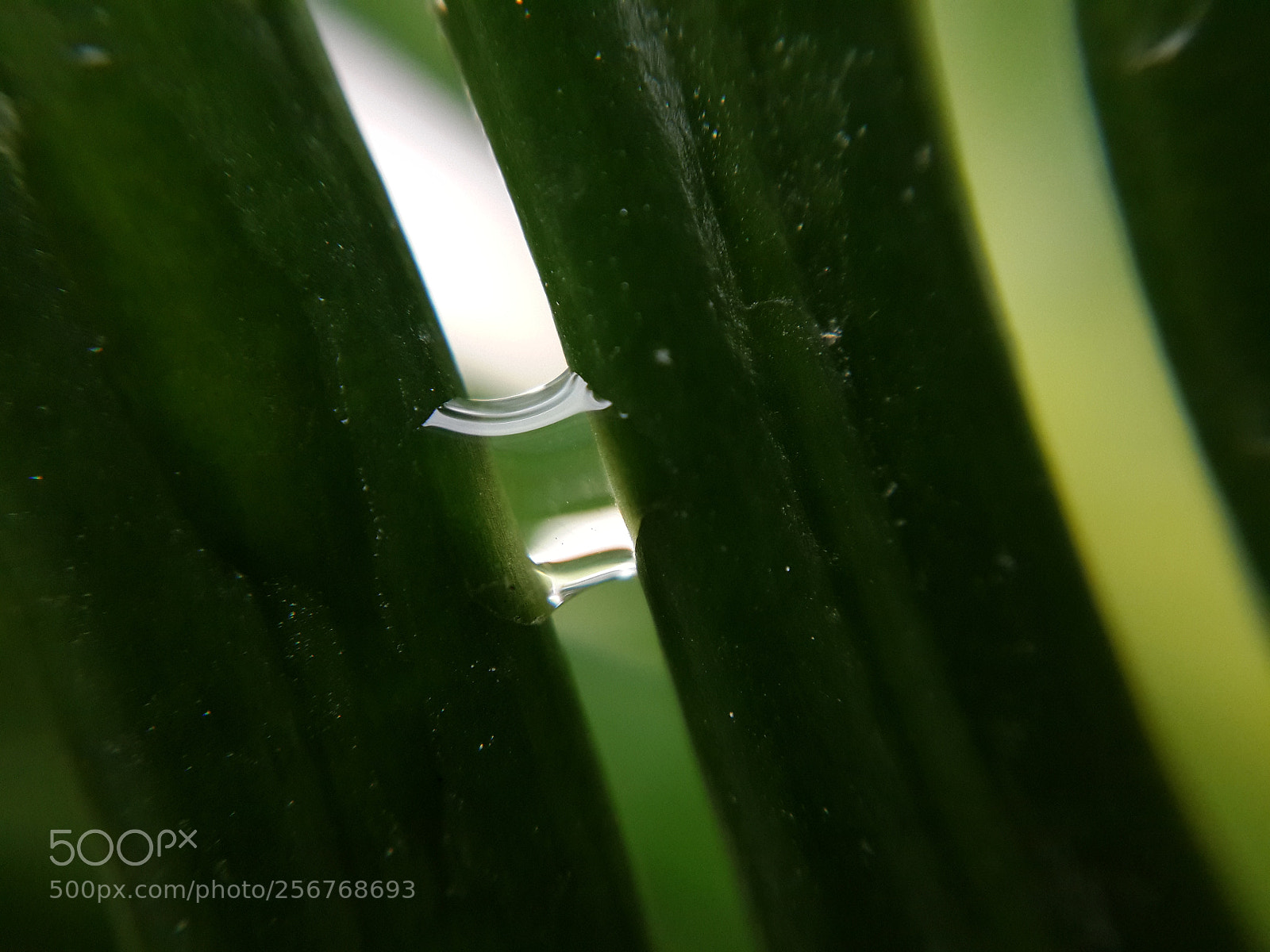 Samsung Galaxy S4 sample photo. Water bridge ? photography