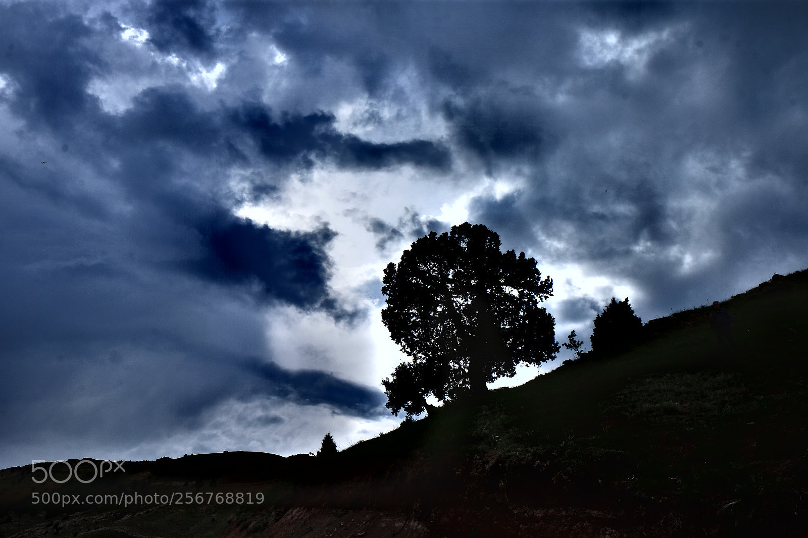 Fujifilm X-E2 sample photo. The power of nature photography