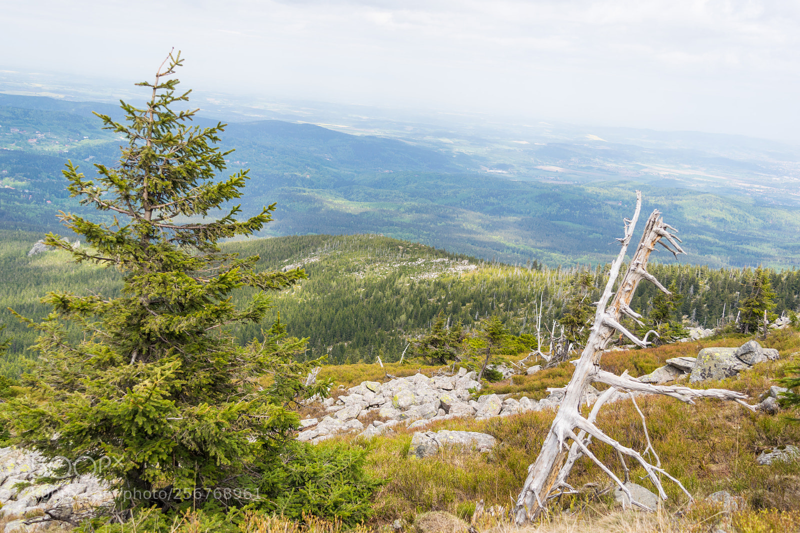 Nikon D3300 sample photo. Karkonosze photography