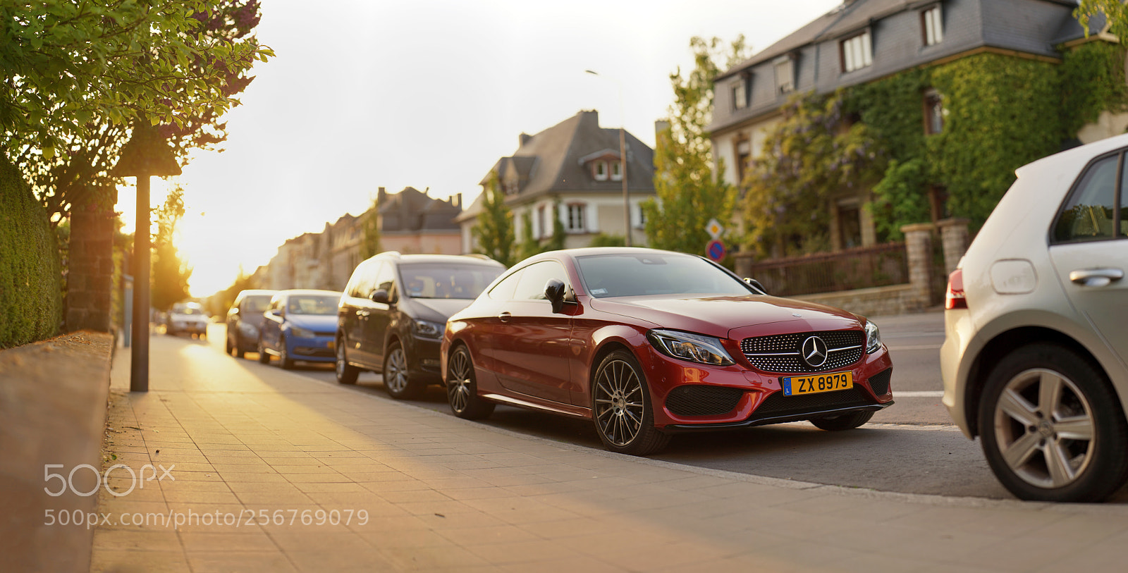 Sony a7 II sample photo. Sunshine photography