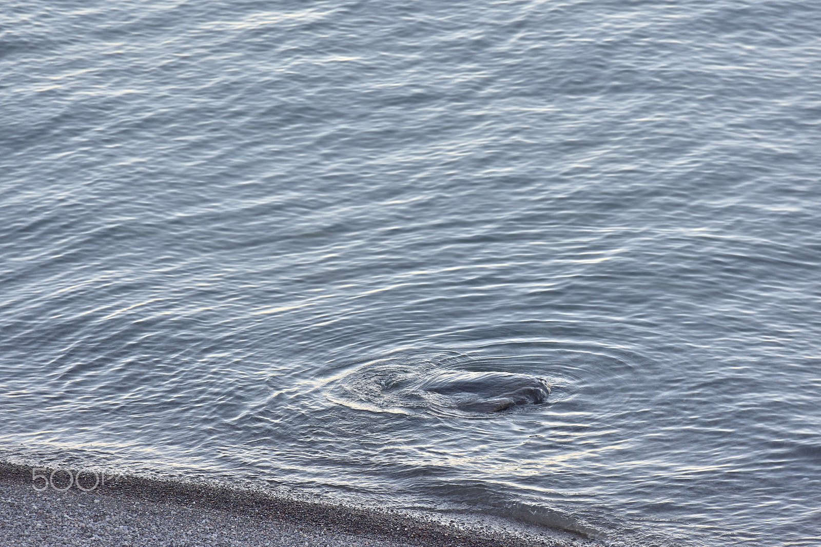 Nikon D7200 sample photo. Lake ontario photography