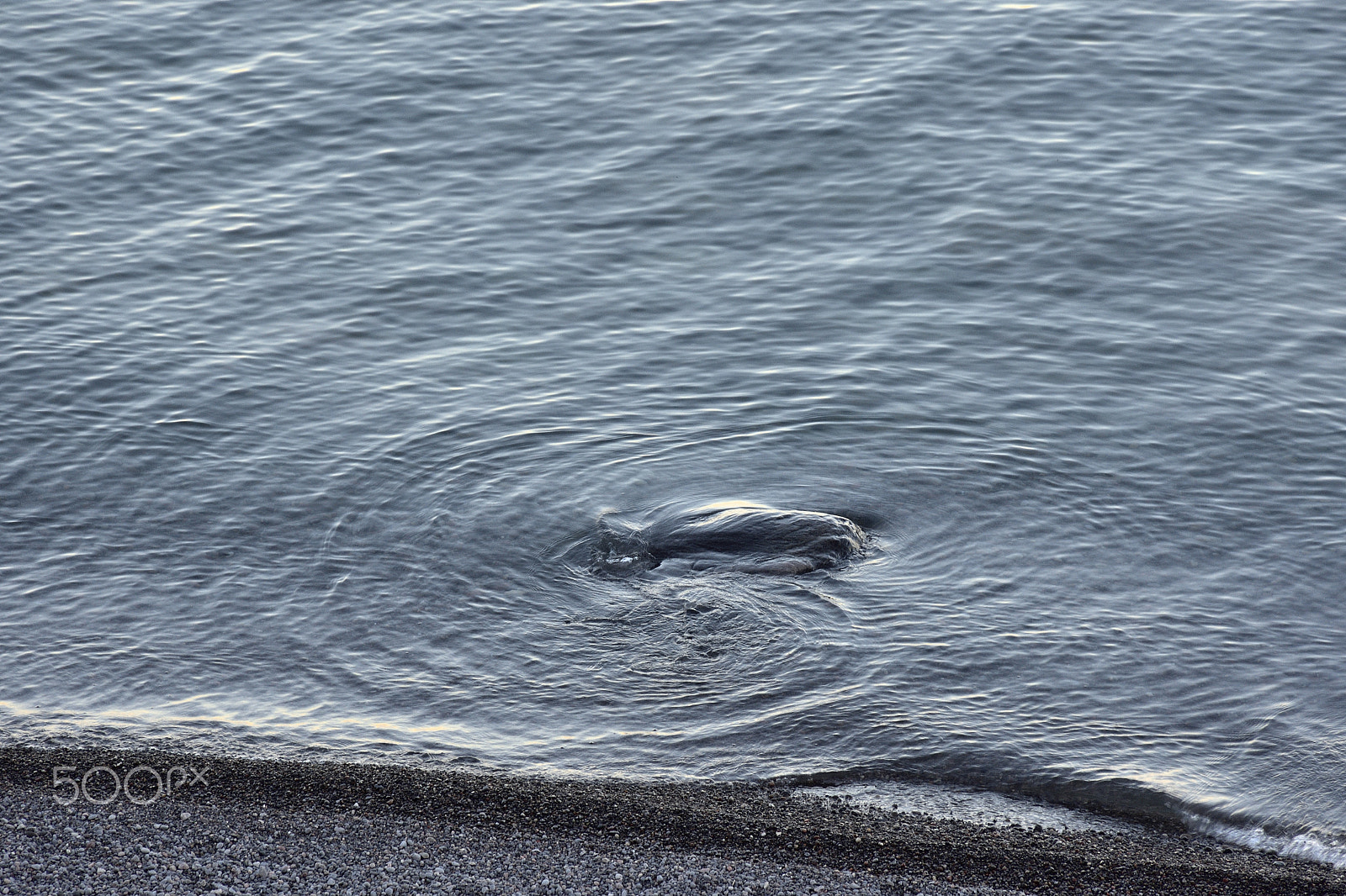 Nikon D7200 sample photo. Lake ontario photography