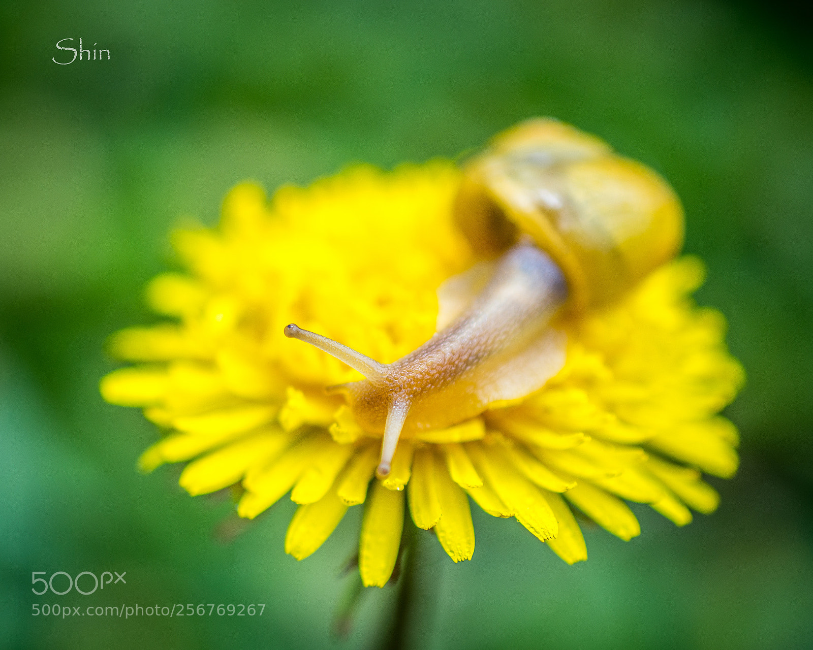 Nikon D7200 sample photo. Untitled photography