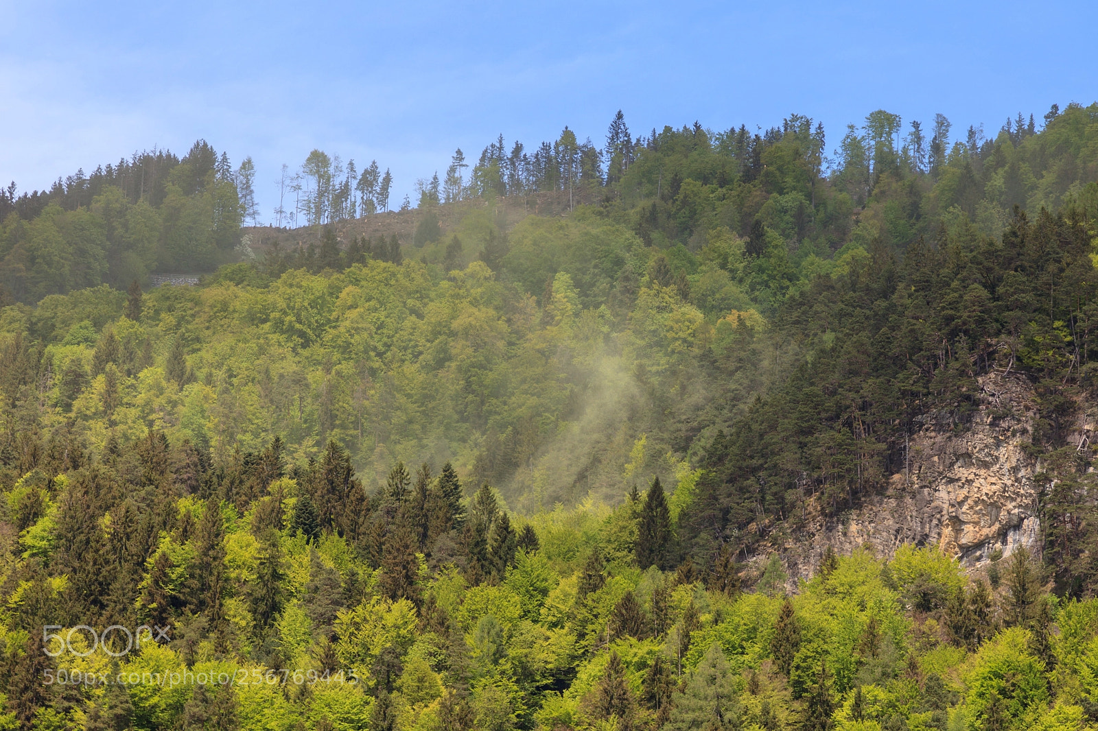 Canon EOS 5D Mark II sample photo. Pollen storm photography
