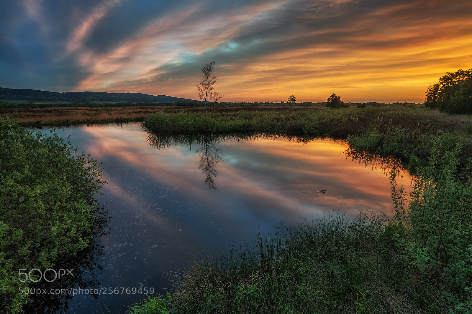 Sony a7R II sample photo. The reflection photography