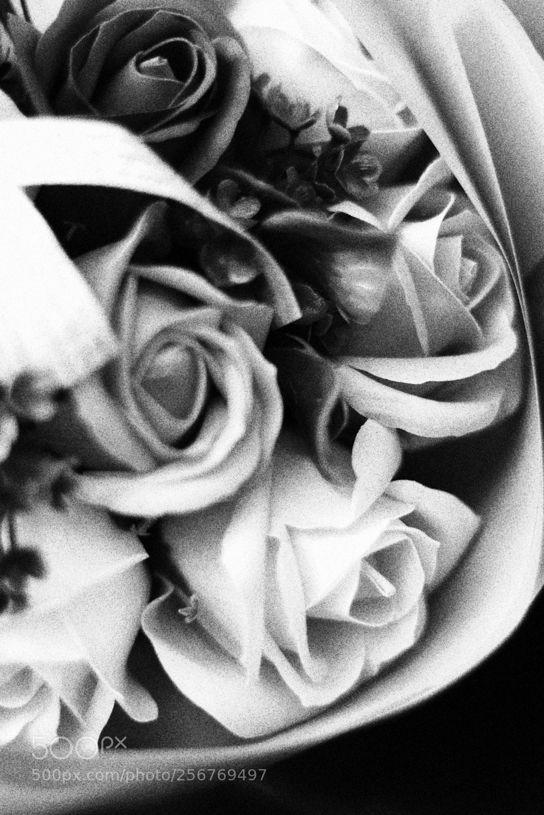 Canon EOS 80D sample photo. Untitled photography