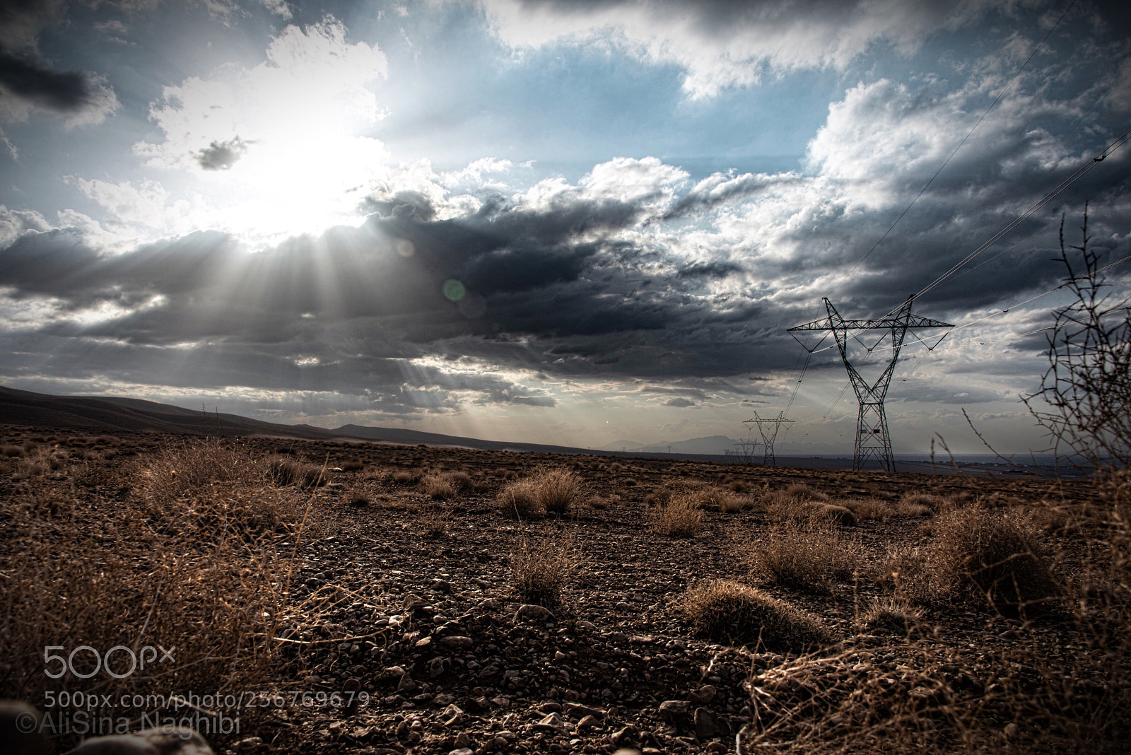 Nikon D750 sample photo. Nature war photography