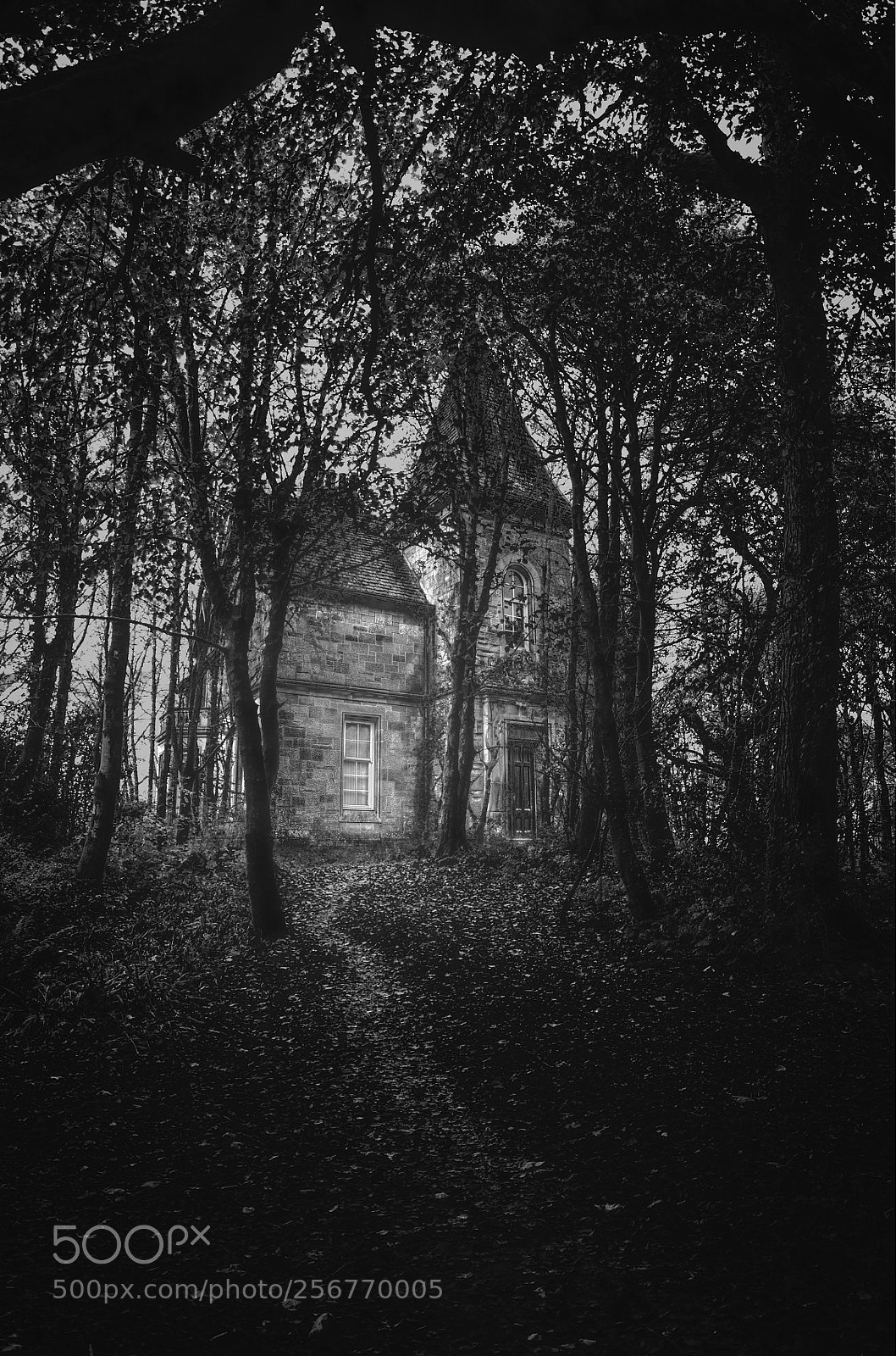 Nikon D90 sample photo. House in the wood photography