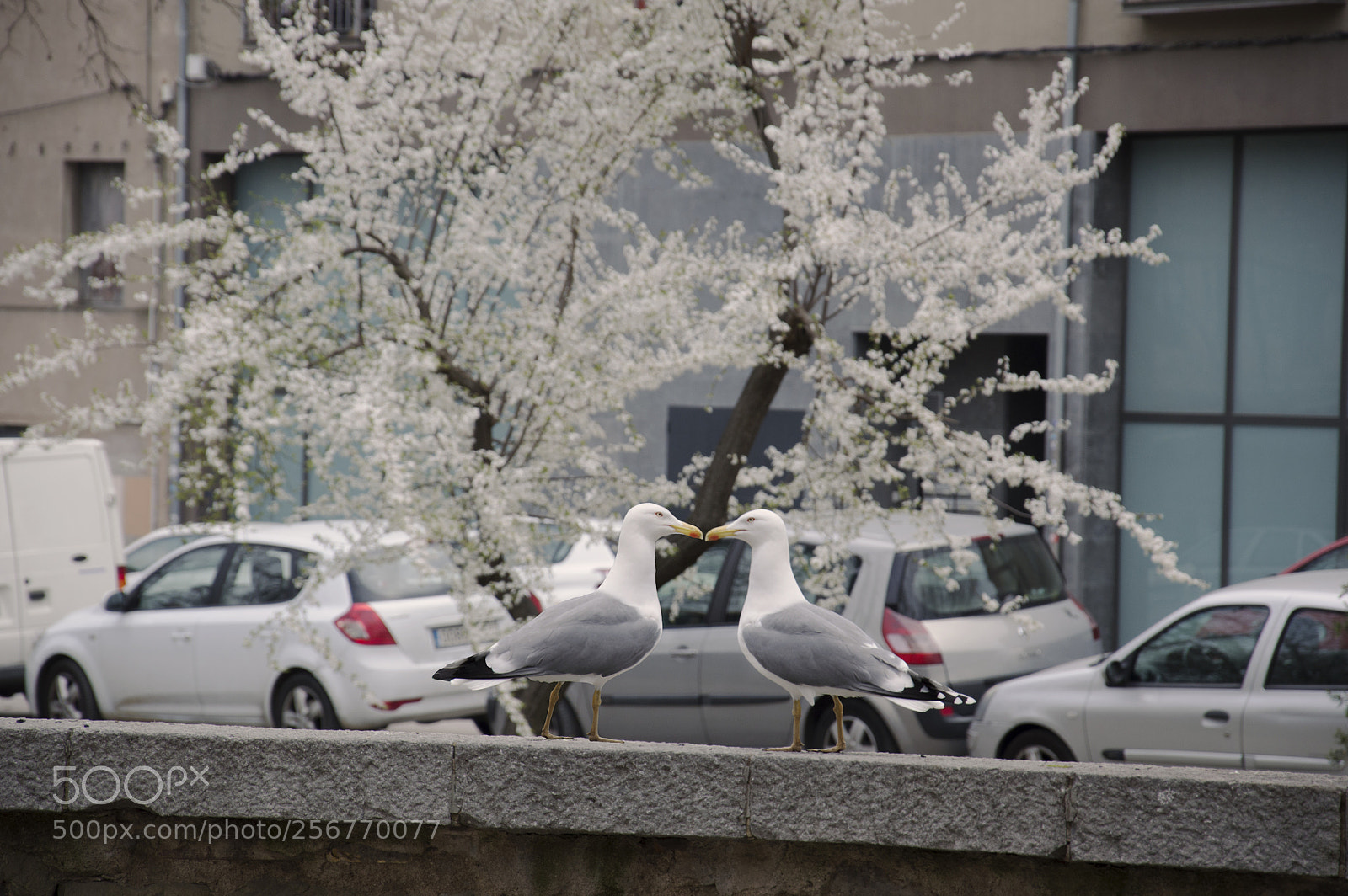 Nikon D3200 sample photo. Encuentro photography
