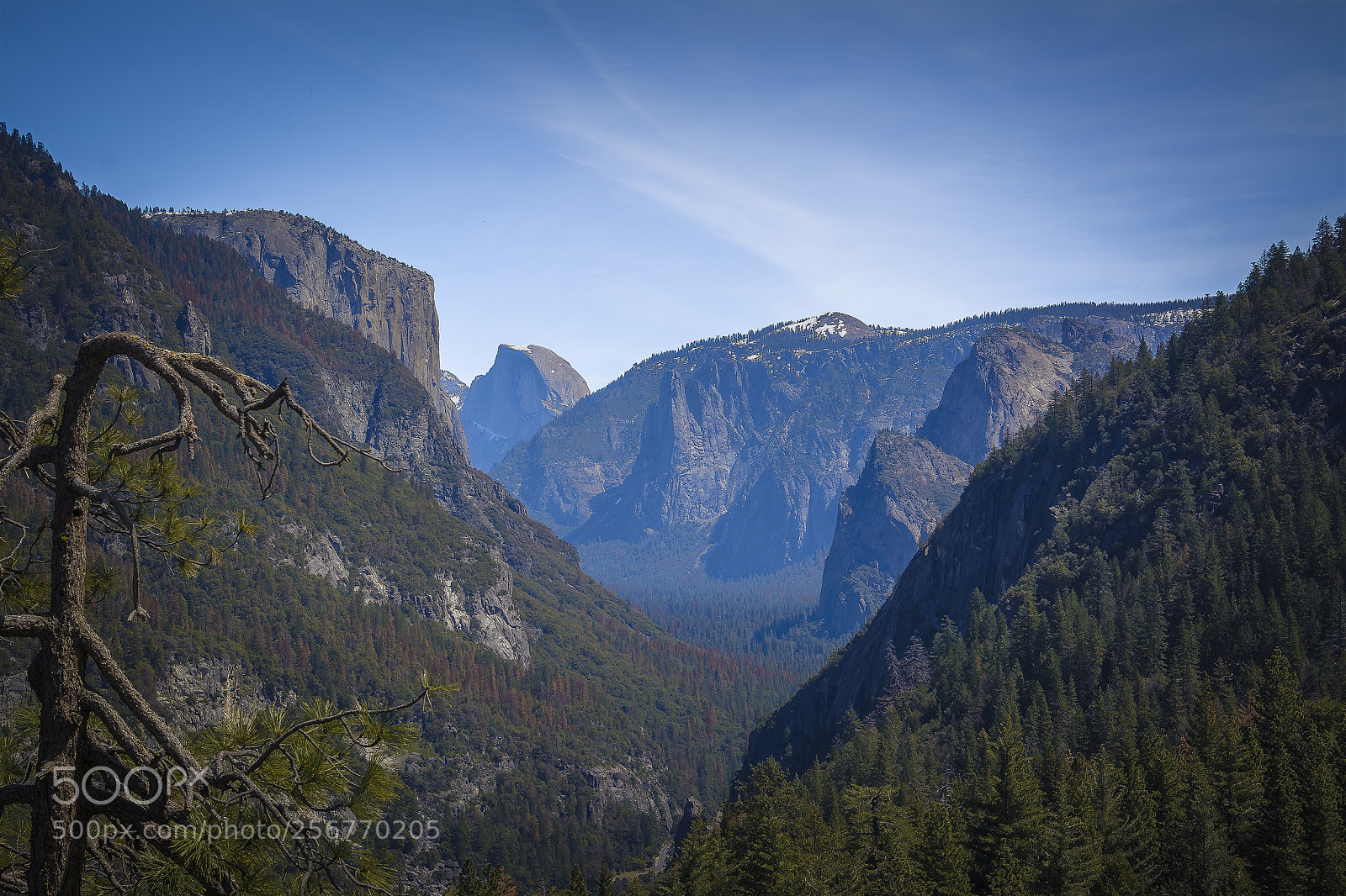 Nikon D7100 sample photo. Warm sunny morning in photography