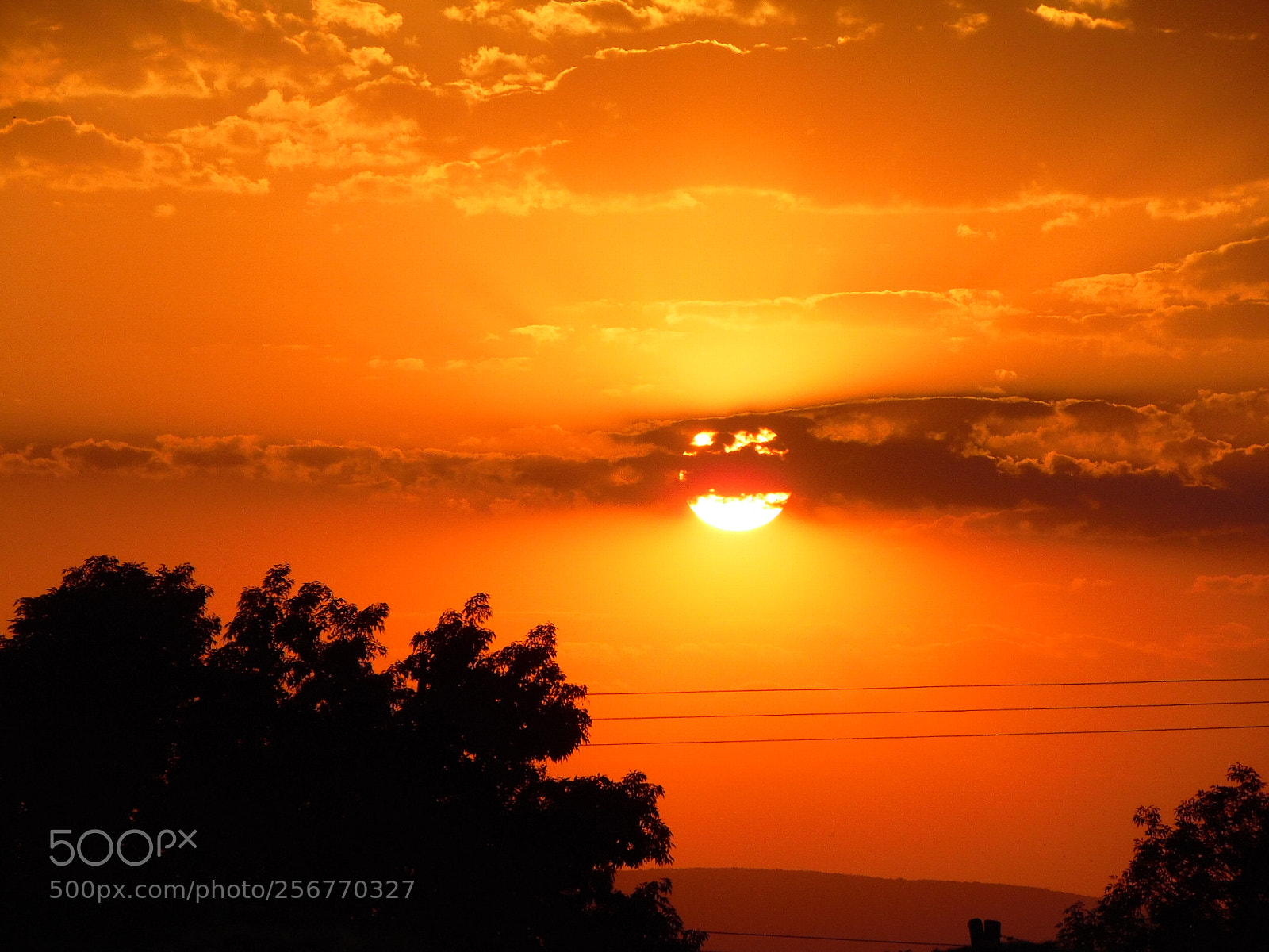 Samsung WB1100F/WB1101F/WB1102F sample photo. Rhythm photography