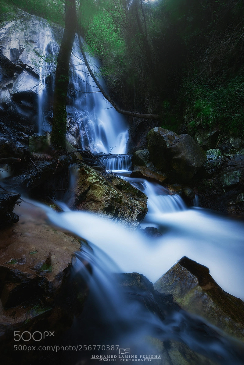 Nikon D750 sample photo. Beautiful algeria photography