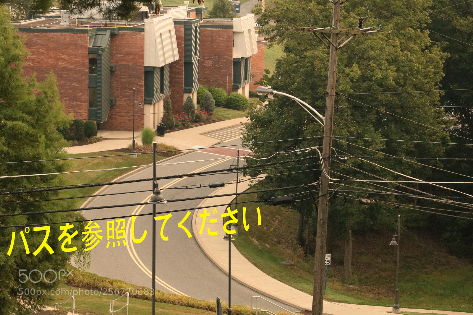 Canon EOS 750D (EOS Rebel T6i / EOS Kiss X8i) sample photo. See the path photography