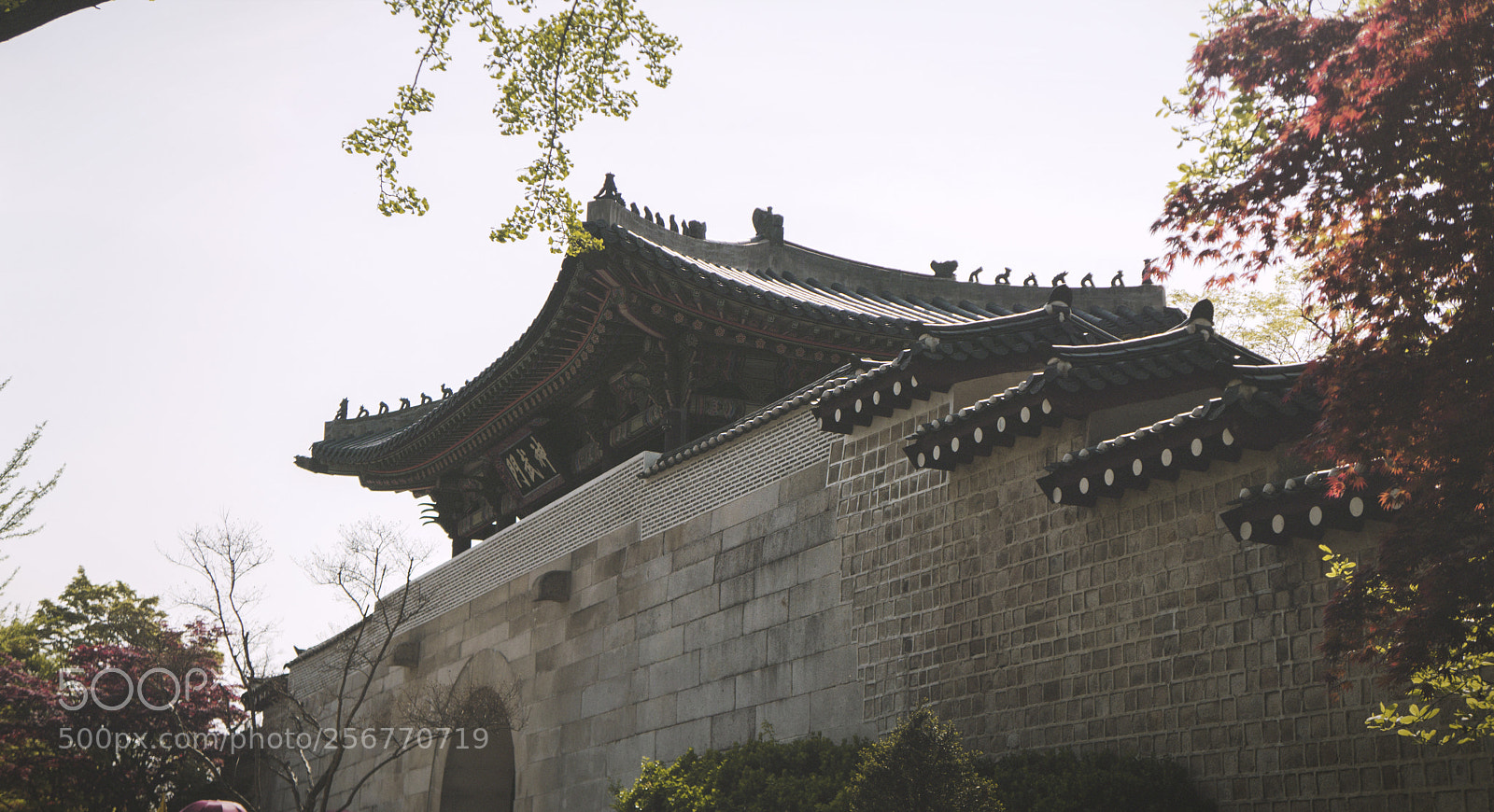 Sony a6000 sample photo. Korean photography