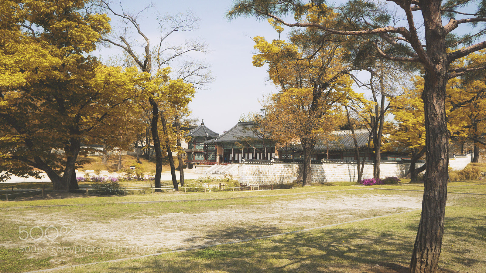 Sony a6000 sample photo. Korean photography