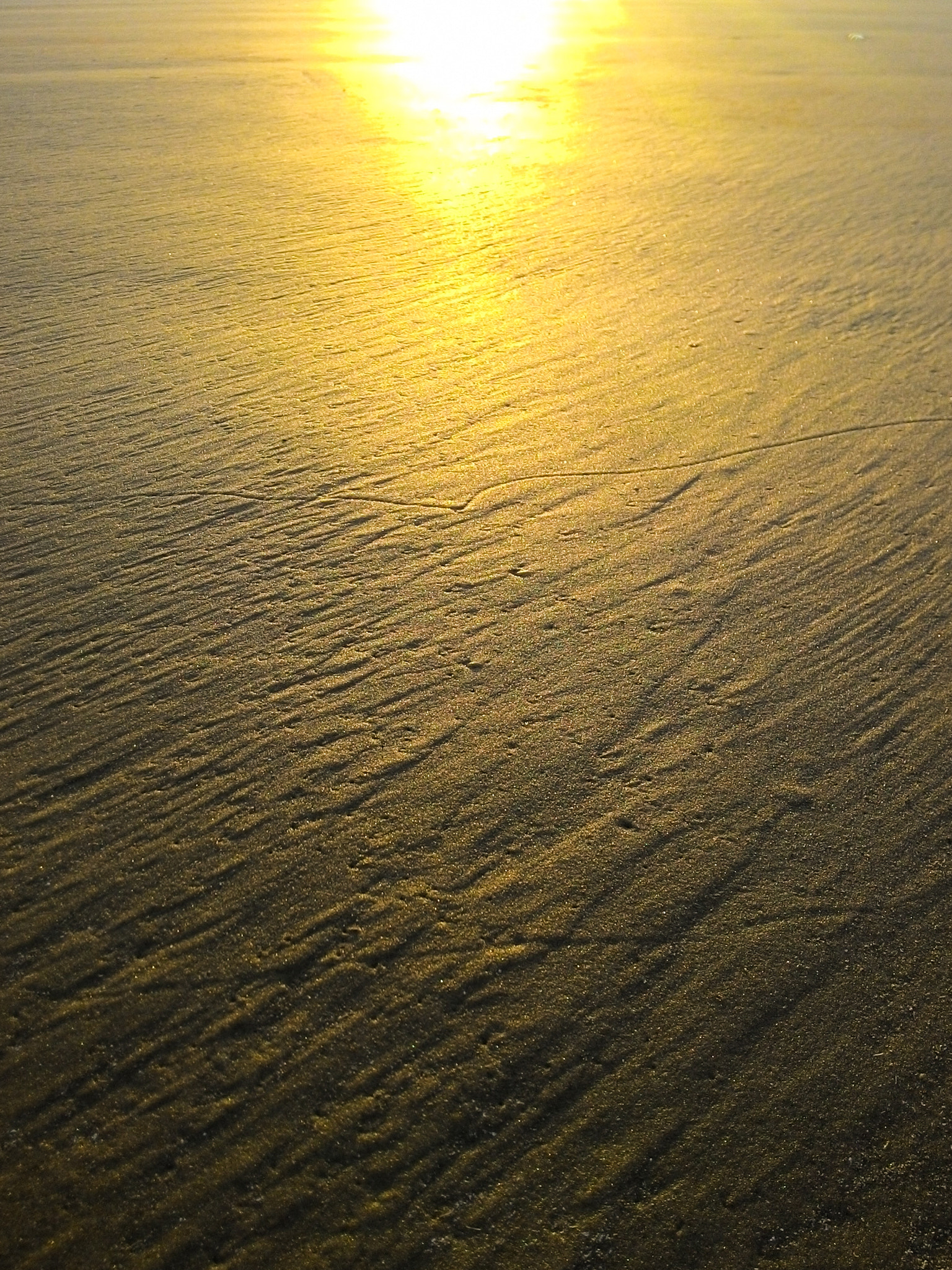 ASUS T00J sample photo. Morning sand photography