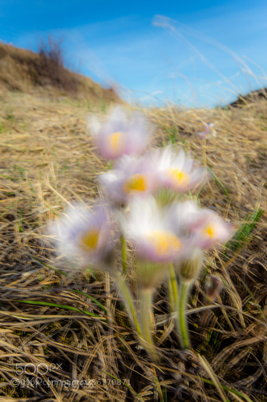 Canon EOS 6D sample photo. Who has seen the photography
