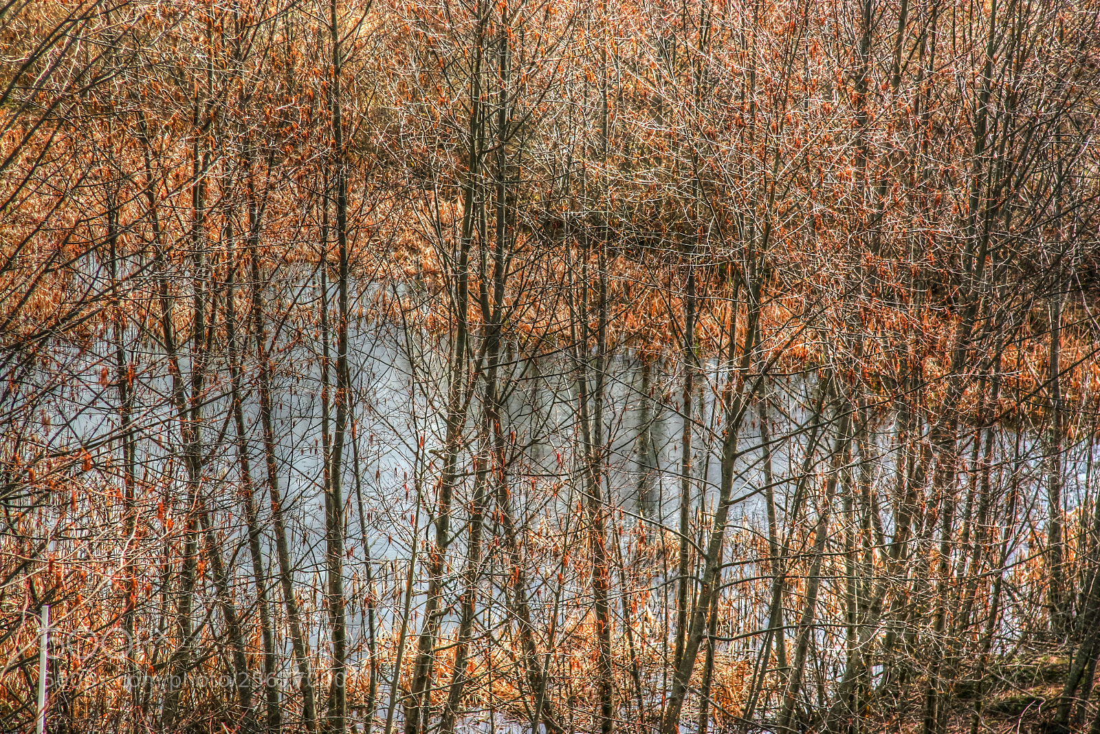 Canon EOS 20D sample photo. ' kettle ponds ' photography