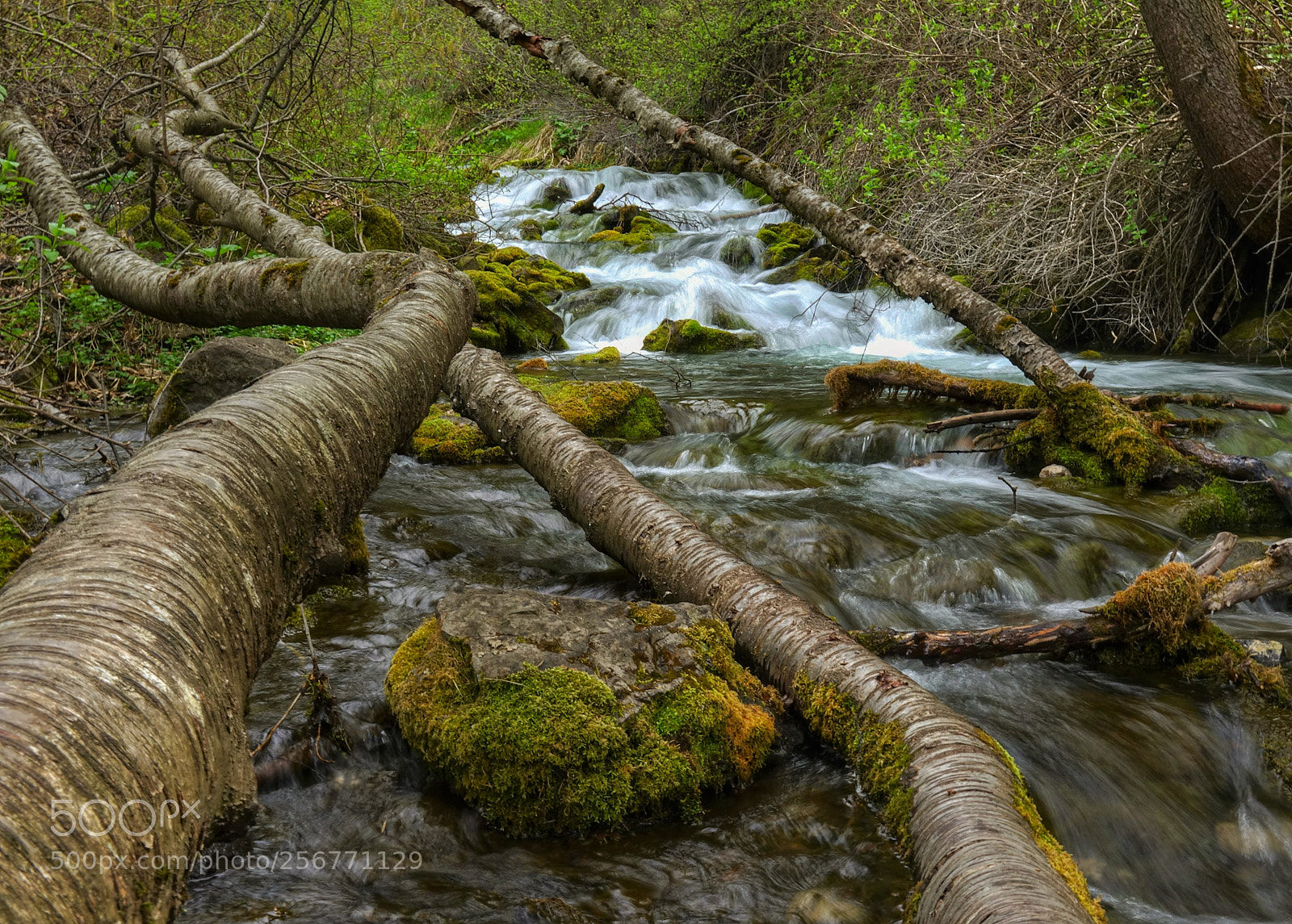 Sony Cyber-shot DSC-RX10 III sample photo. Logan canyon, utah photography