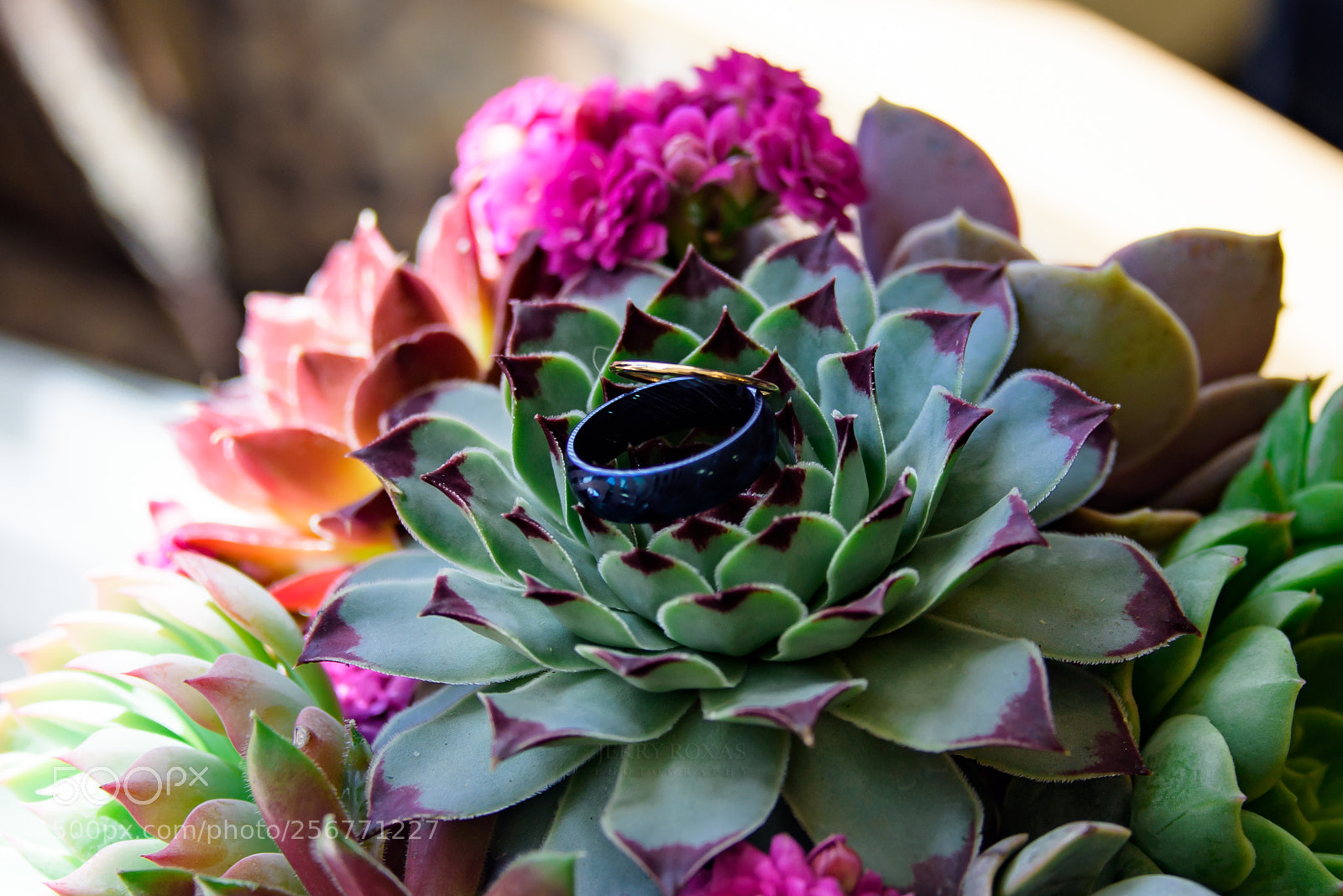 Nikon D750 sample photo. Pete and sarah's civil photography
