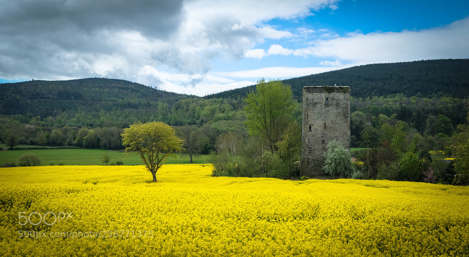 Fujifilm X100F sample photo. Kilsheelan castle photography