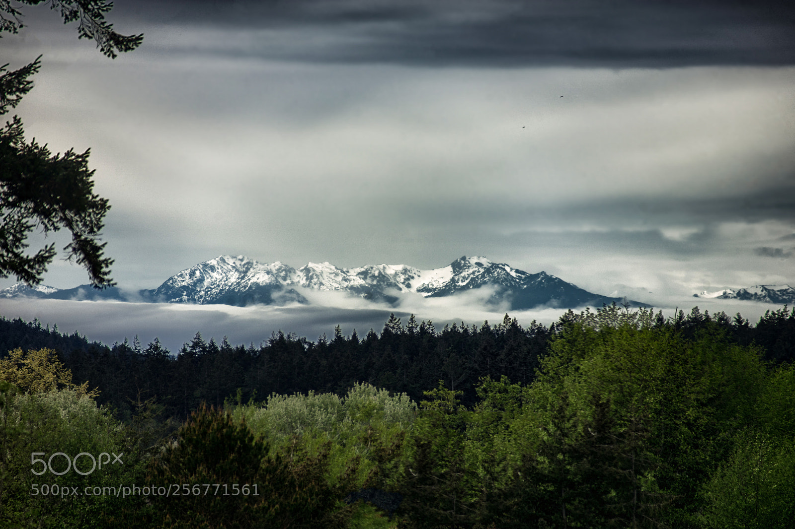 Sony a7 II sample photo. Misty mountains photography