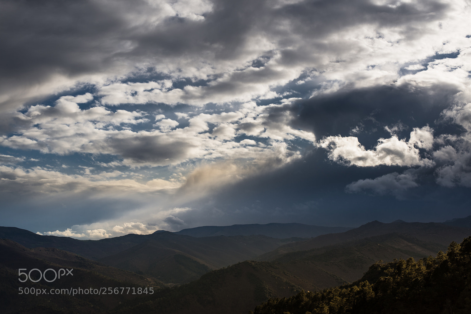 Nikon D600 sample photo. Les cevennes photography