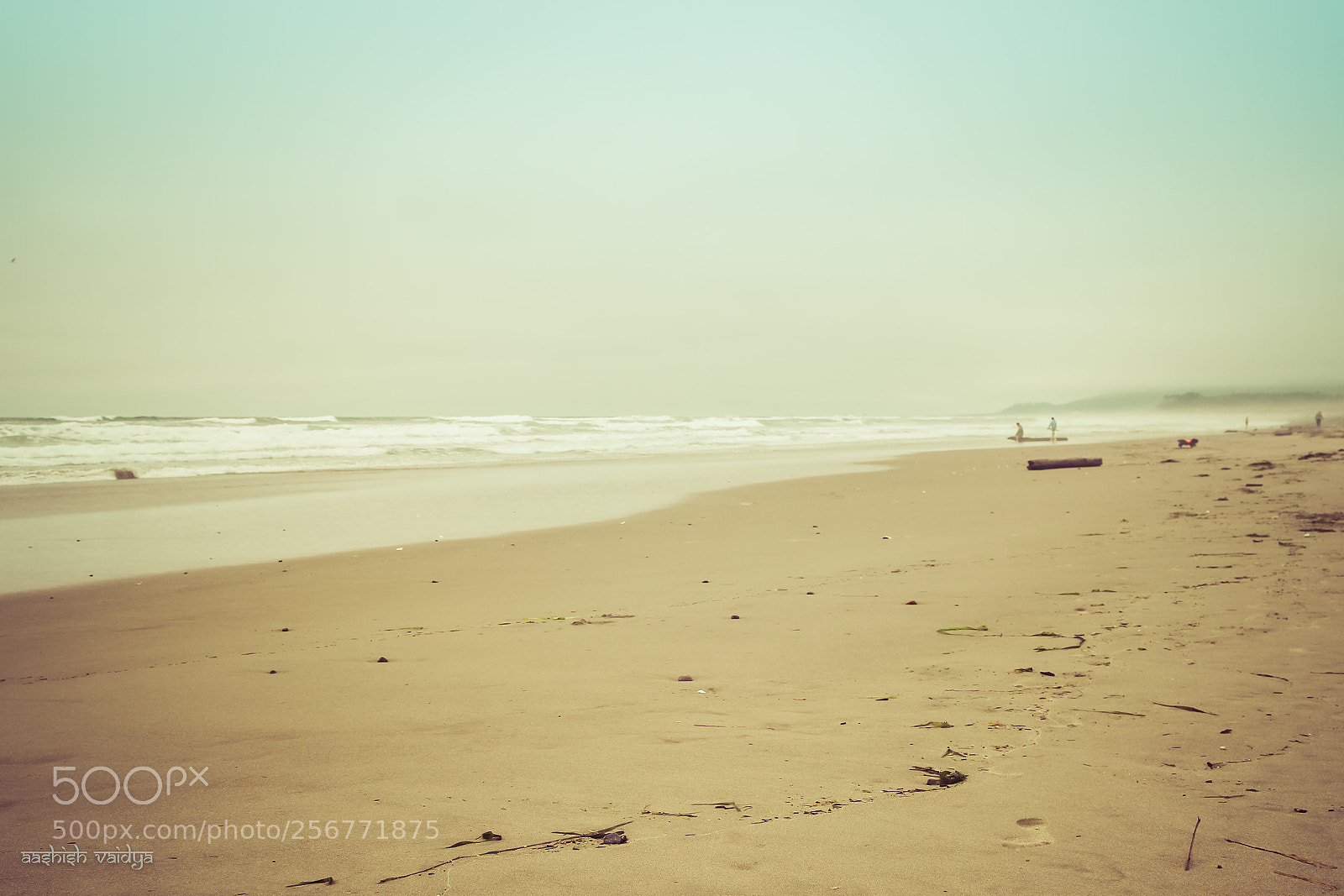 Canon EOS 600D (Rebel EOS T3i / EOS Kiss X5) sample photo. Oregon coast - vintage photography