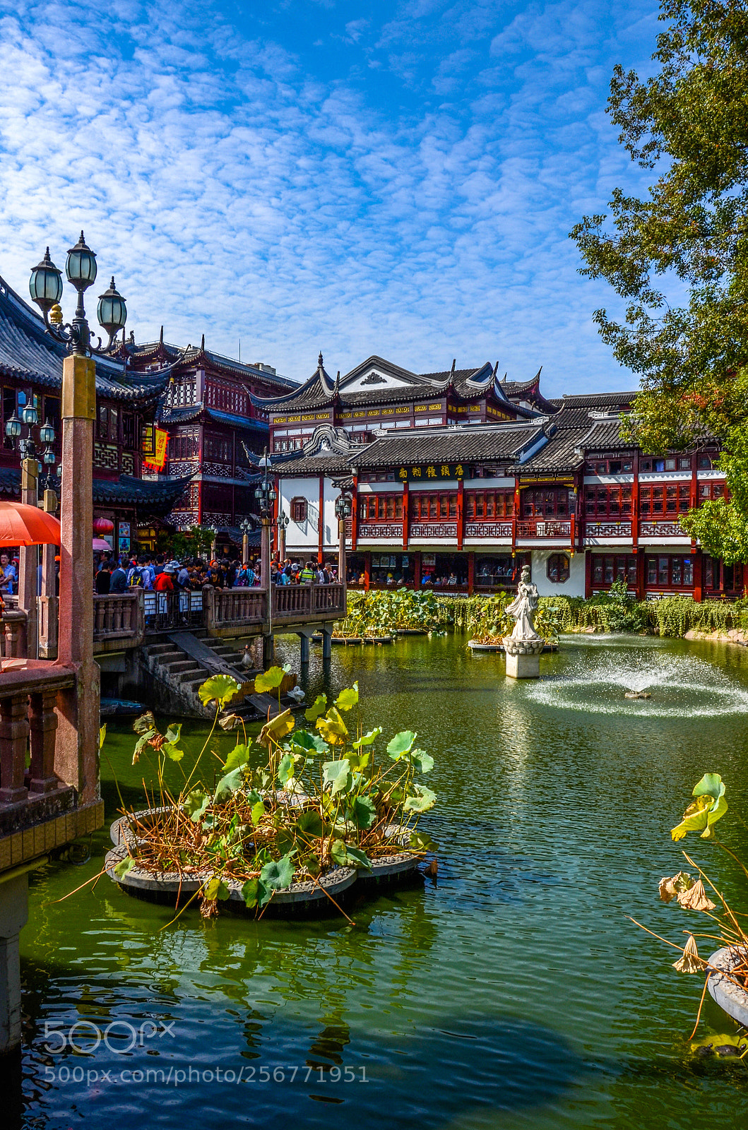 Nikon D7000 sample photo. Yu garden photography