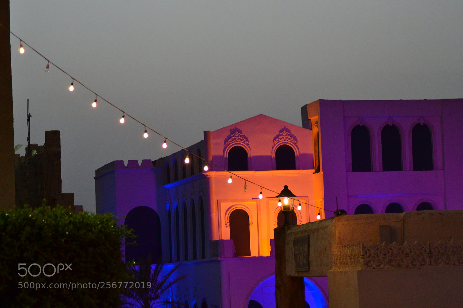 Nikon D3100 sample photo. Untitled photography