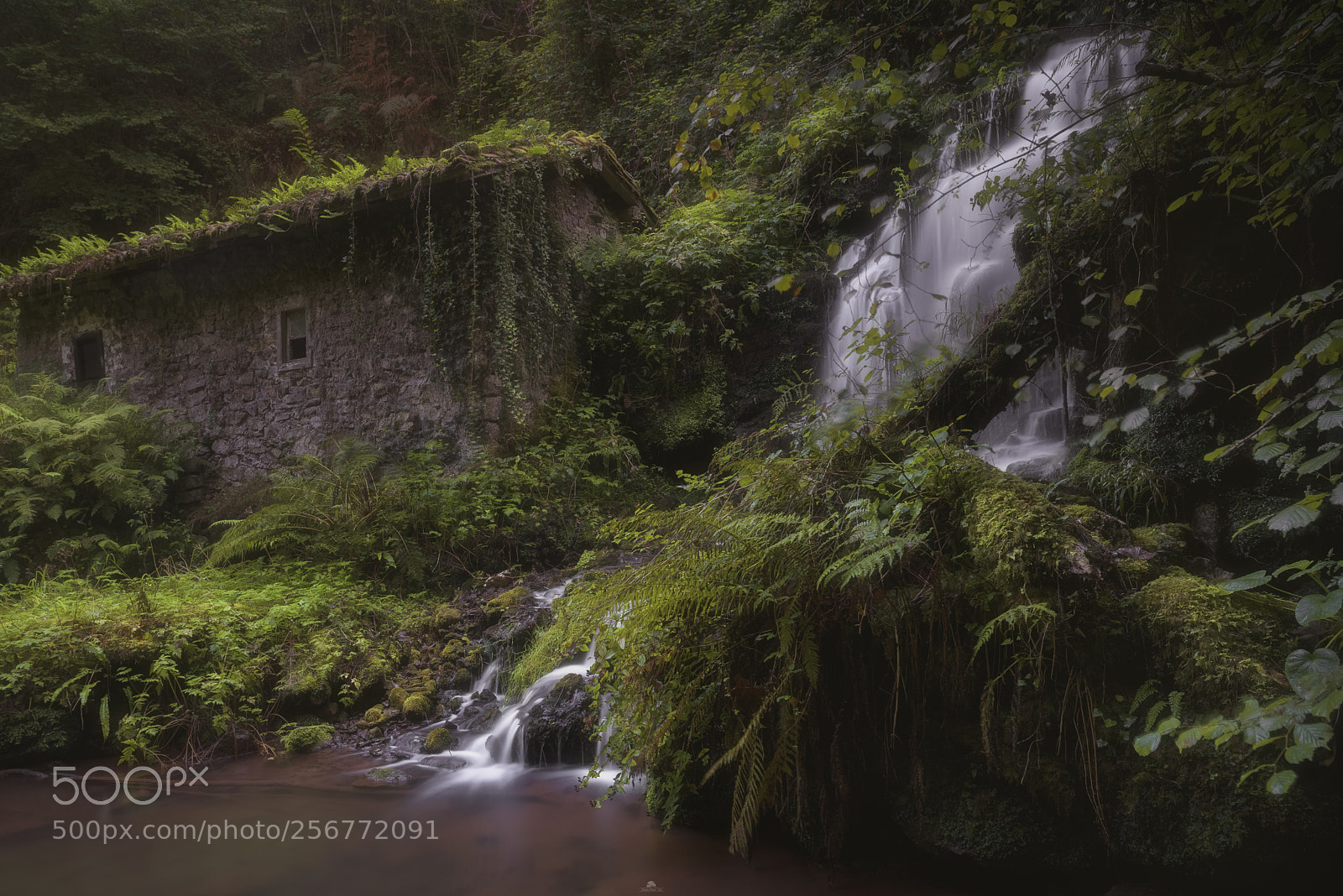 Nikon D750 sample photo. Molin de obaya,asturias photography