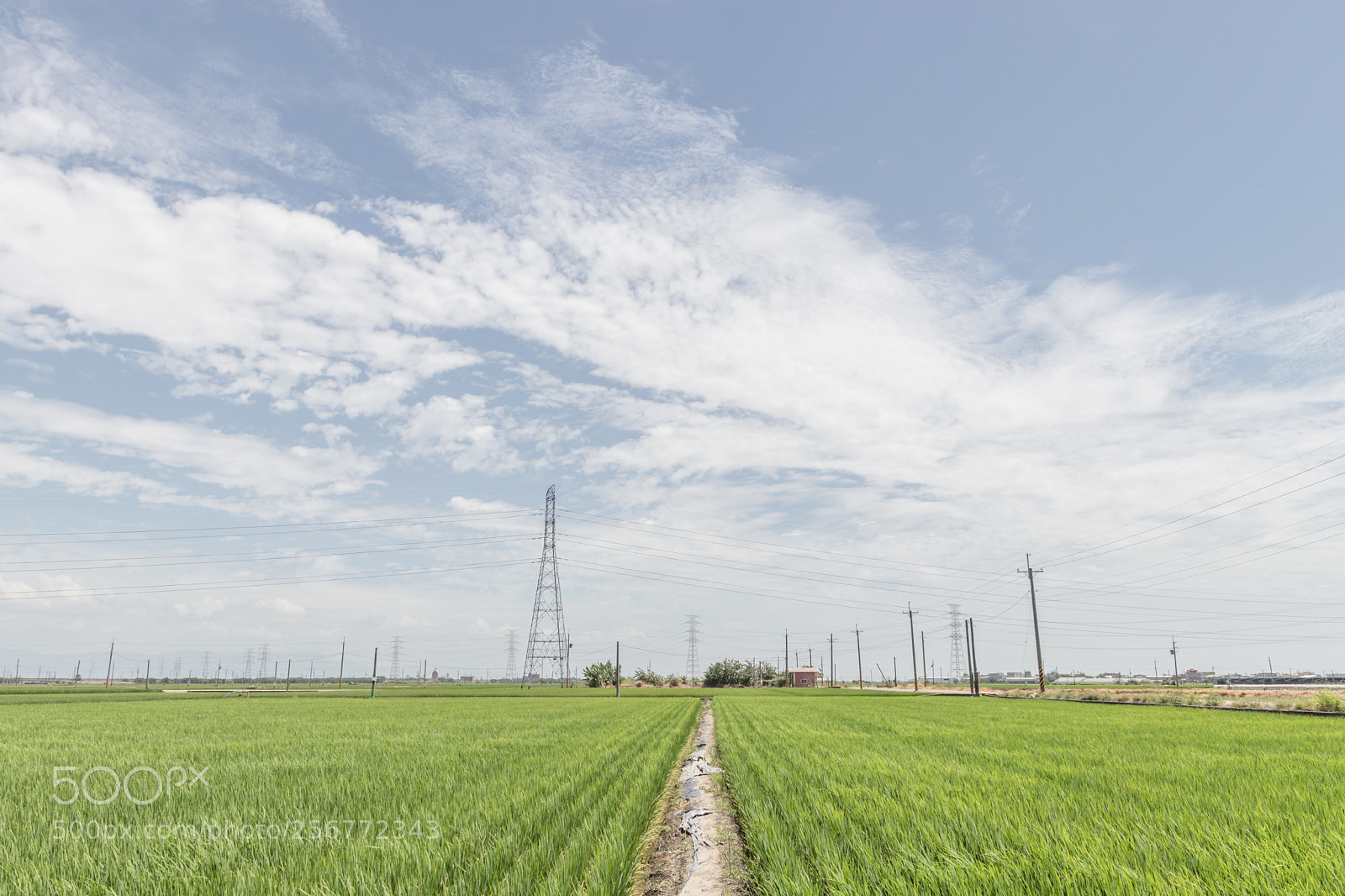 Canon EOS 77D (EOS 9000D / EOS 770D) sample photo. Skygreen photography
