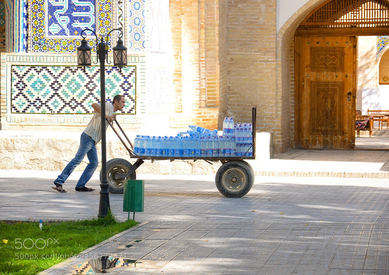 Nikon D7000 sample photo. Untitled photography